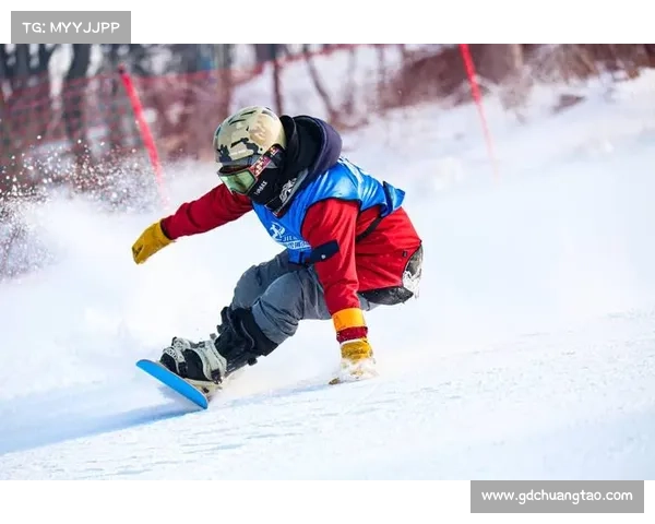 掌握狮鹫训练的十个关键要素助你成为高手的秘诀与技巧