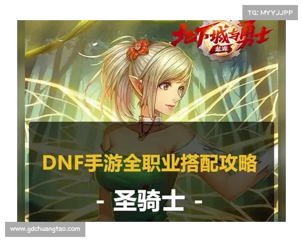 DNF圣骑士加点攻略及最佳选择推荐方案详解